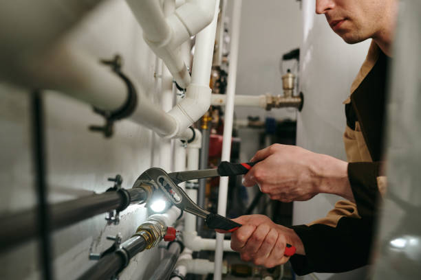 Best Best Plumbers Near Me  in Fanning Springs, FL