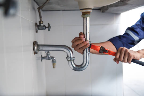 Best Residential Plumbing Services  in Fanning Springs, FL