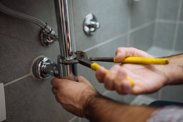 Best Local Plumber Services  in Fanning Springs, FL